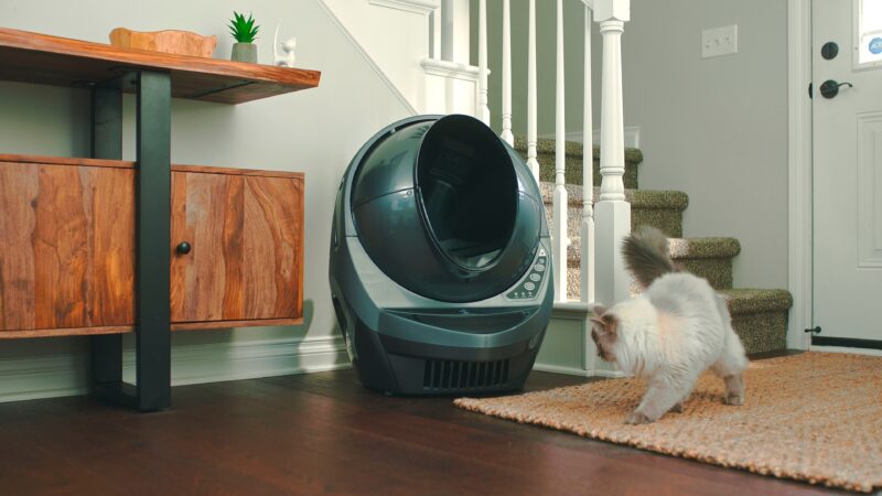 Whisker - Litter-Robot 3 Connect Wi-F - Image 5